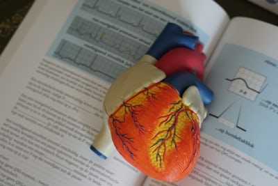 Apples Maintains Heart Health: