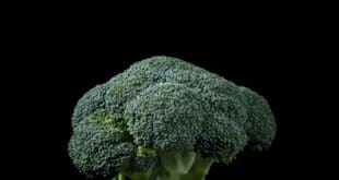 broccoli