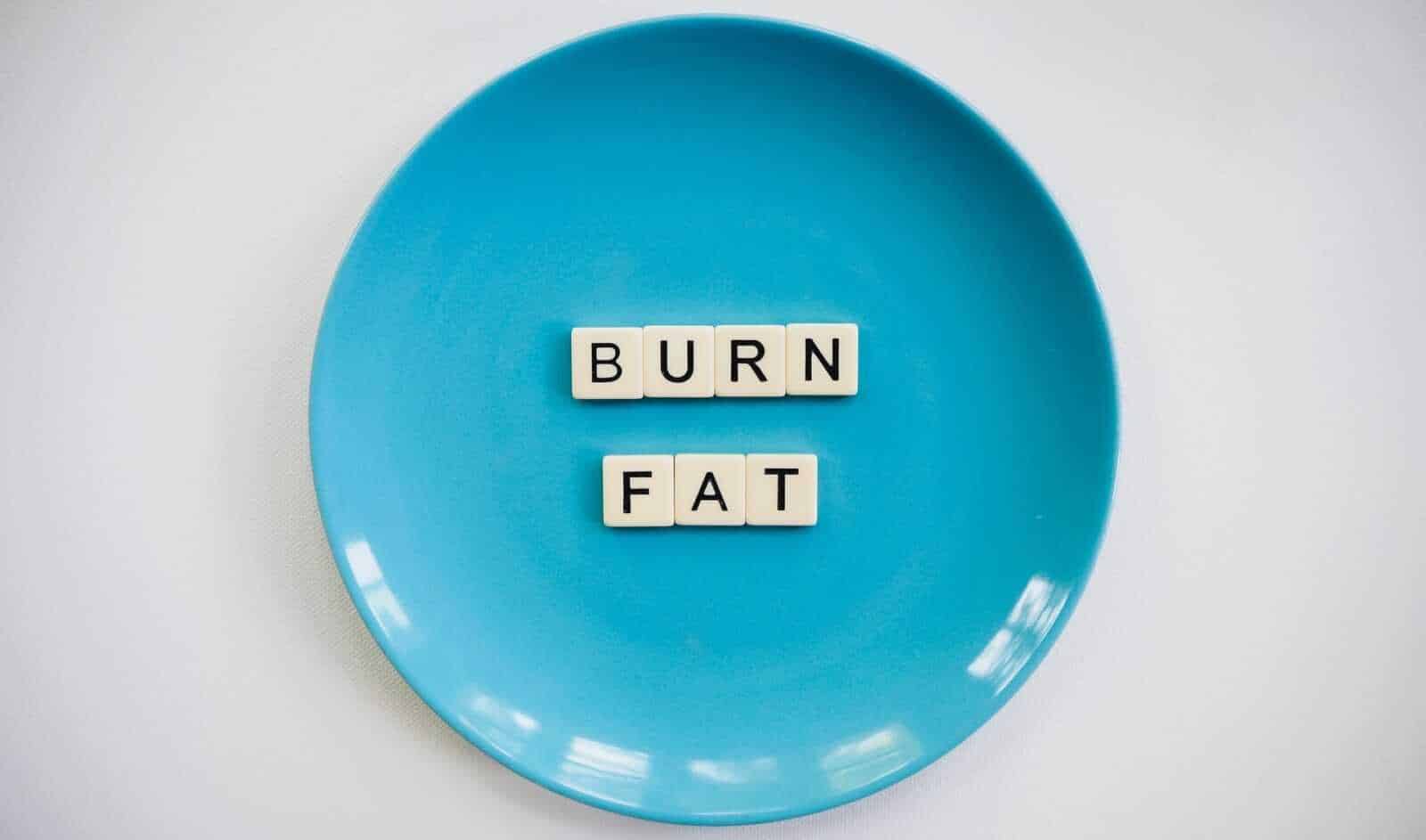 FAT BURNING FOOD