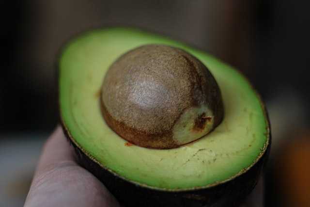Avocado, all what you want to know about in 2020