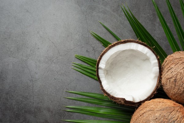 Is coconut a fruit useful?