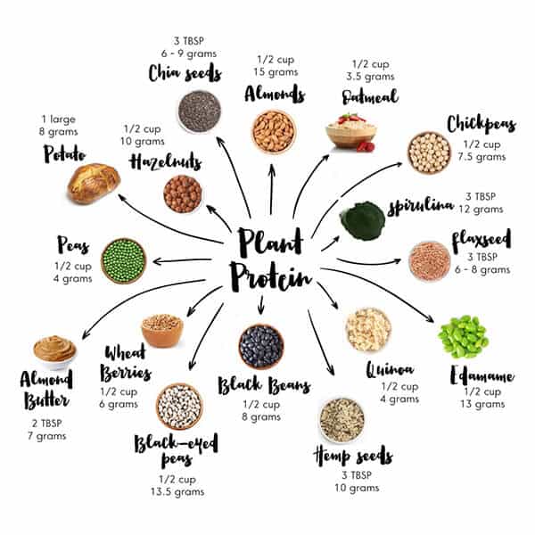 Whole 30 Plant-Based Protein Sources