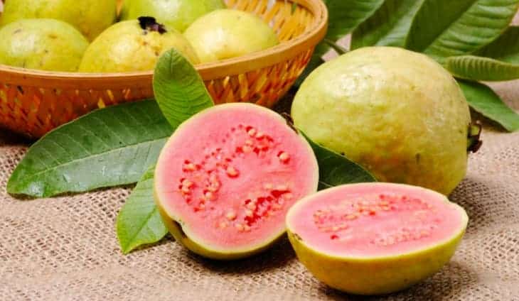Eating Pink Guava