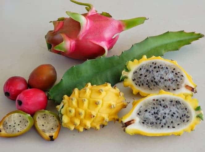 Yellow dragon fruit side effects: From A To Z