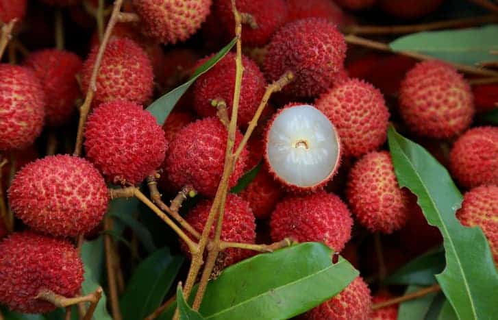 Lychee Benefits and Side Effects