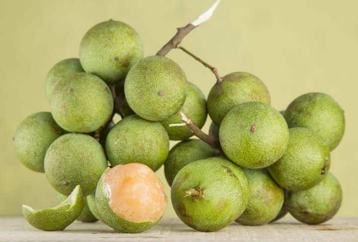 mamoncillo fruit benefits