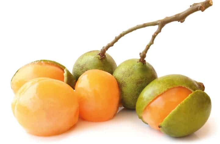 mamoncillo fruit benefits